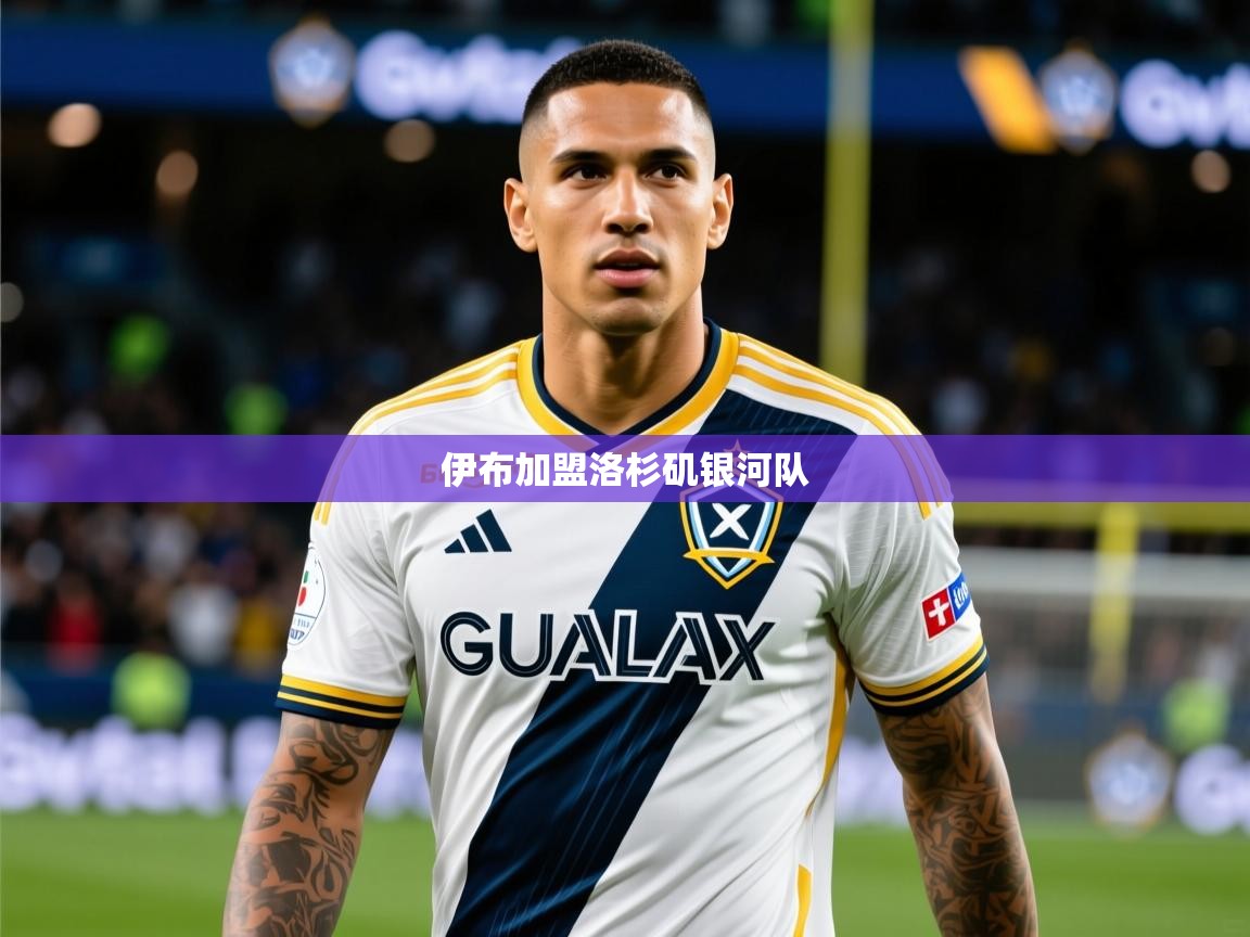 2025乐鱼体育 vip 注册伊布加盟洛杉矶银河队  第1张