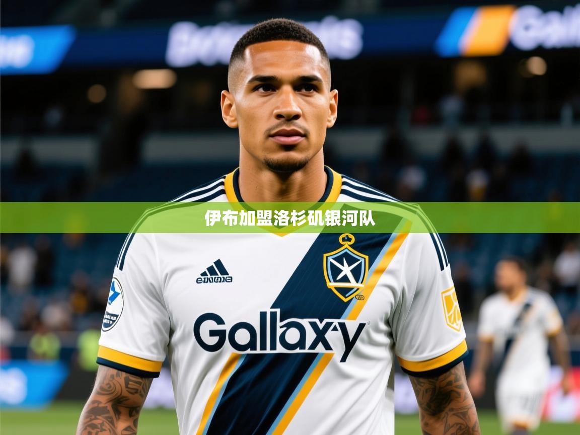 2025乐鱼体育 vip 注册伊布加盟洛杉矶银河队  第3张