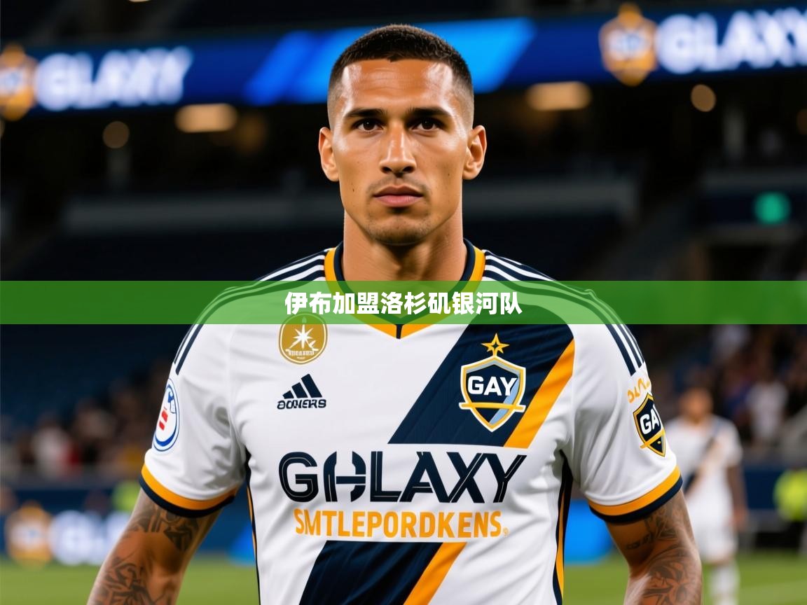 2025乐鱼体育 vip 注册伊布加盟洛杉矶银河队  第2张