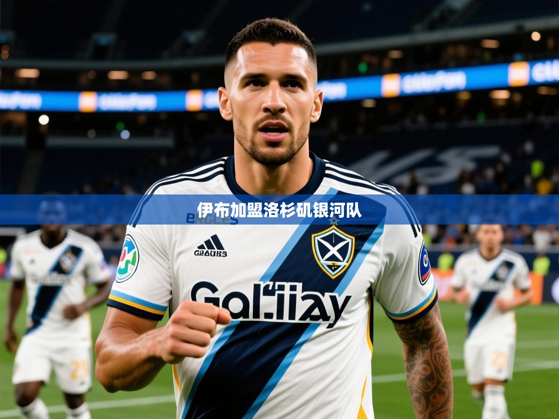 2025乐鱼体育 vip 注册伊布加盟洛杉矶银河队  第4张