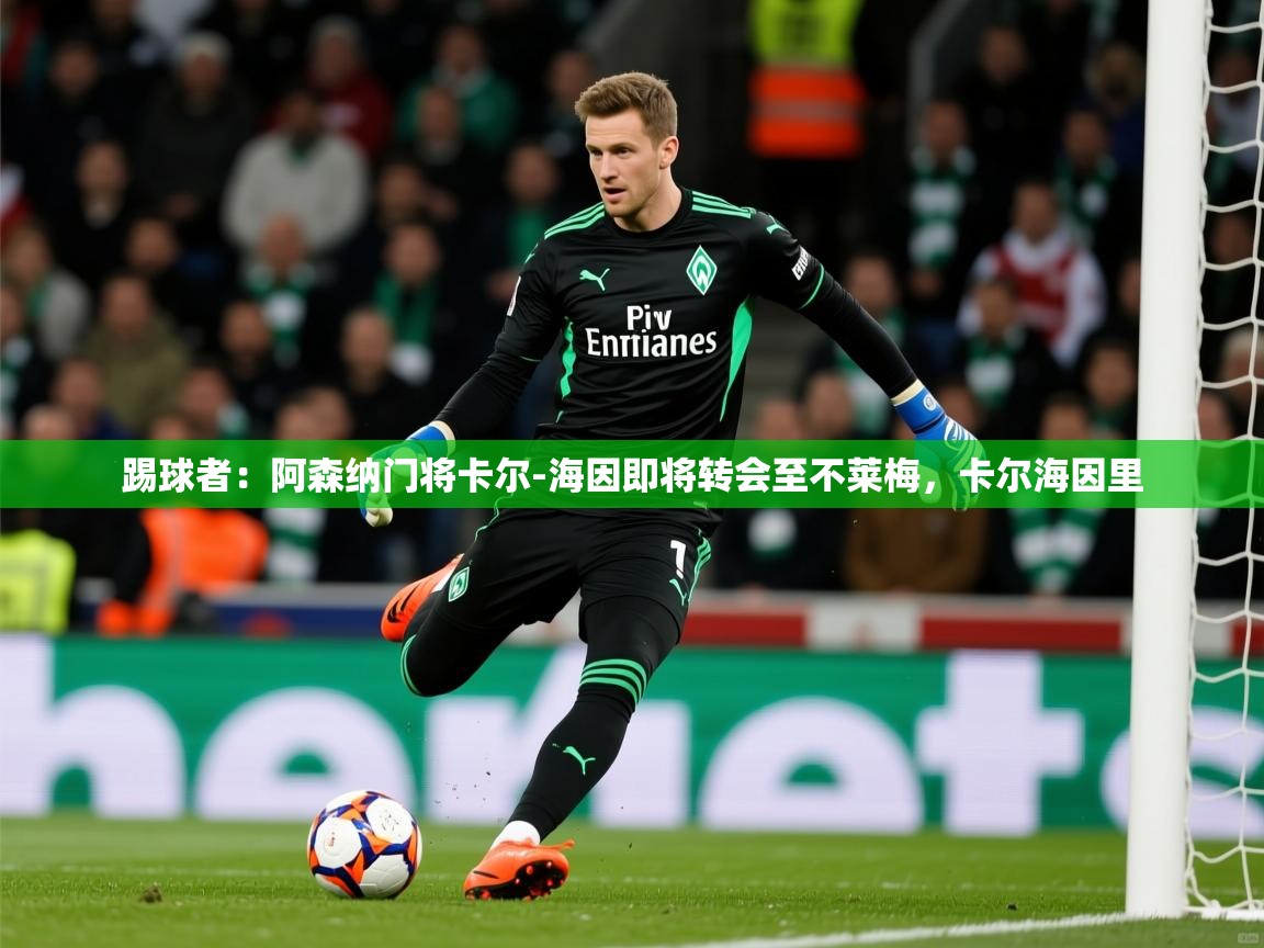 2025乐鱼体育app下载官网(中国)踢球者:阿森纳门将卡尔-海因即将转会至不莱梅,卡尔海因里 第4张