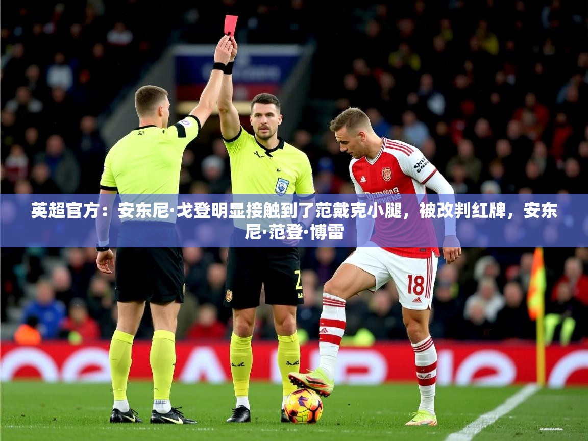 2025乐鱼体育入口登录官网app英超官方:安东尼·戈登明显接触到了范戴克小腿,被改判红牌,安东尼·范登·博雷 第2张