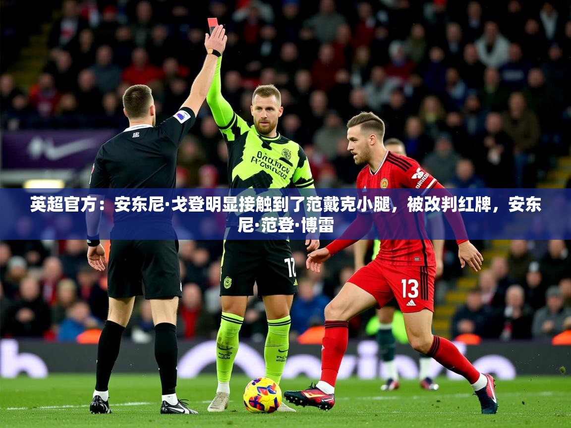 2025乐鱼体育入口登录官网app英超官方:安东尼·戈登明显接触到了范戴克小腿,被改判红牌,安东尼·范登·博雷 第1张