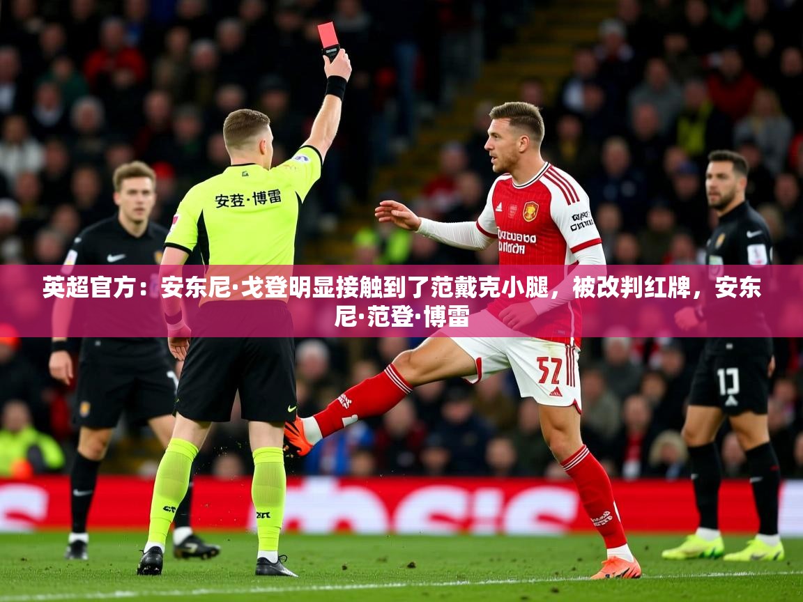 2025乐鱼体育入口登录官网app英超官方:安东尼·戈登明显接触到了范戴克小腿,被改判红牌,安东尼·范登·博雷 第3张