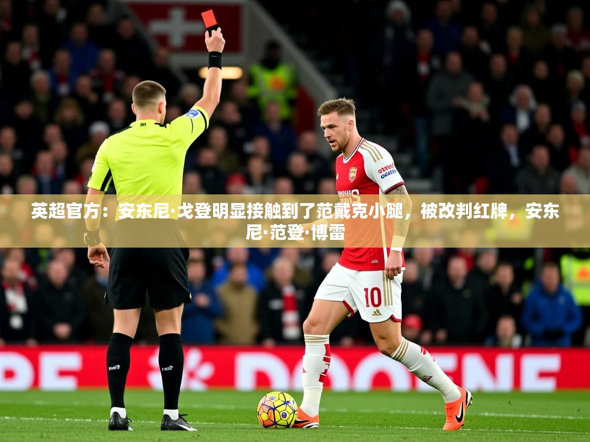 2025乐鱼体育入口登录官网app英超官方:安东尼·戈登明显接触到了范戴克小腿,被改判红牌,安东尼·范登·博雷 第4张