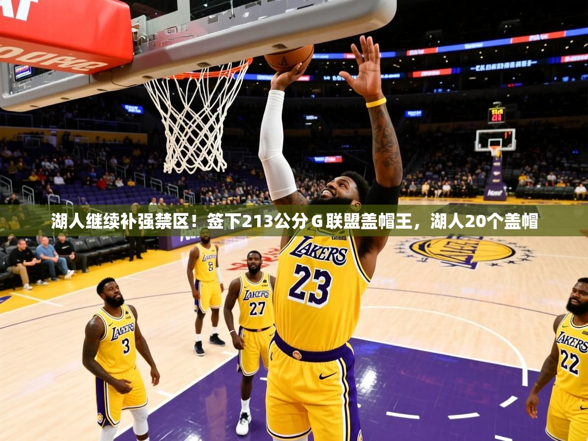 2025乐鱼体育在线官网湖人继续补强禁区！签下213公分Ｇ联盟盖帽王，湖人20个盖帽  第4张