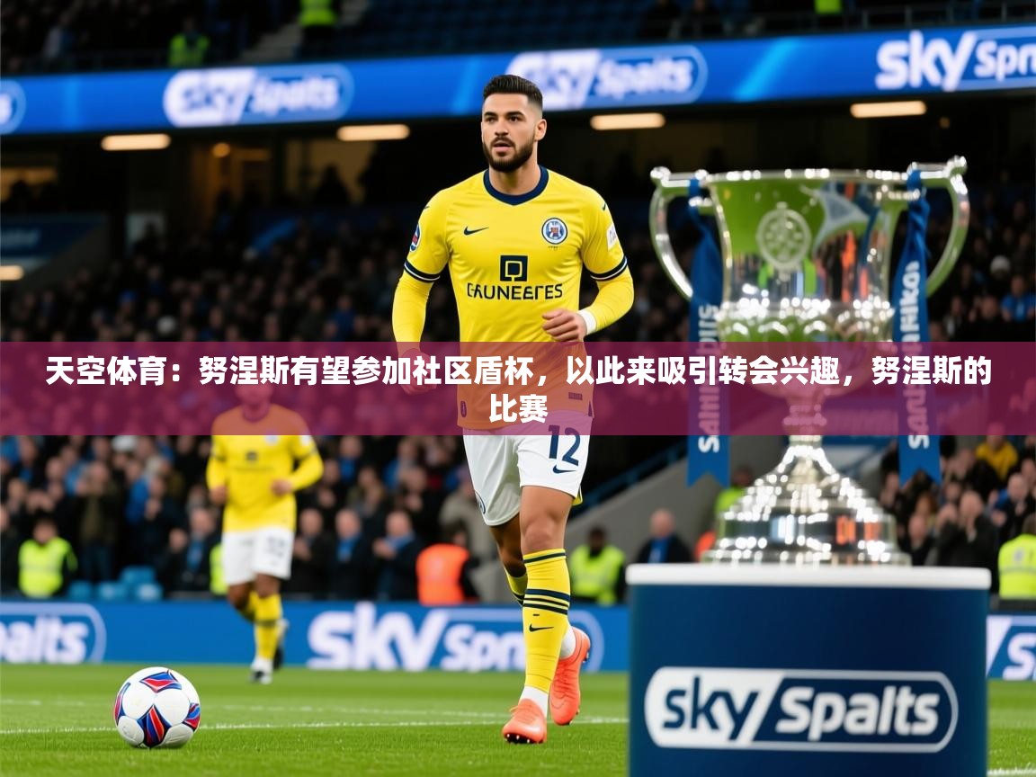 2025乐鱼体育官网在线登录入口天空体育：努涅斯有望参加社区盾杯，以此来吸引转会兴趣，努涅斯的比赛